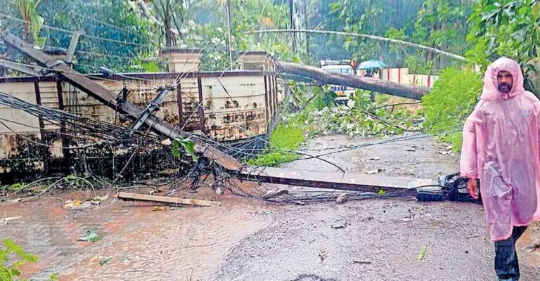 pathanamthitta-tree-fall-power-line-destroyed-kuttoor.jpg