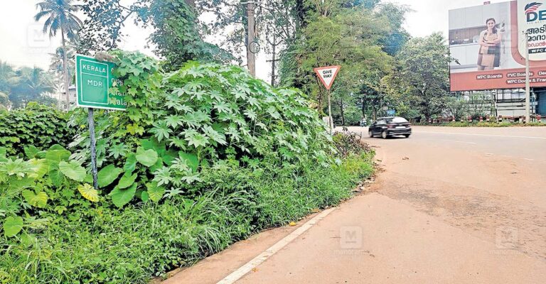 perumbavoor-mc-road.jpg