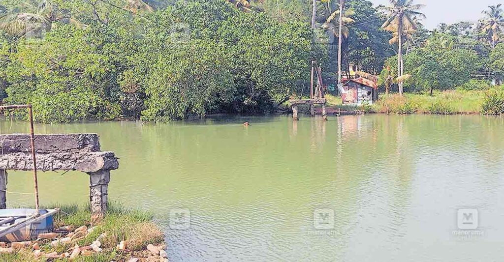 perunghalam-bridge.jpg