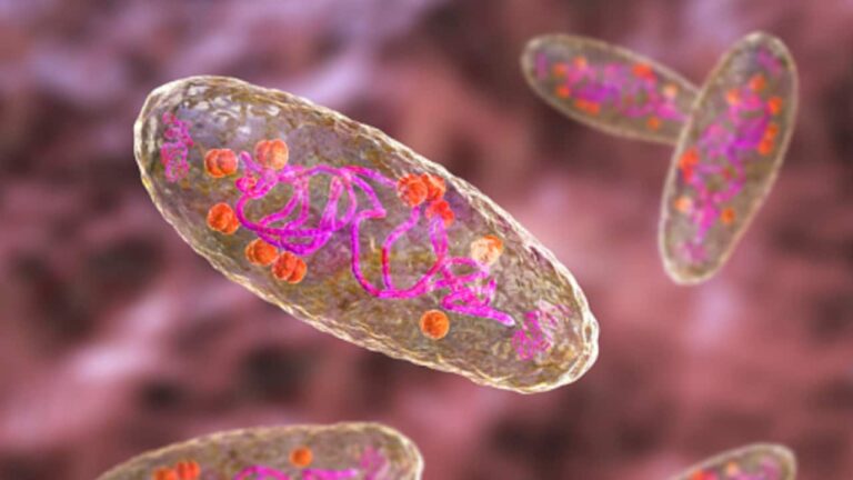 plague-1752417114273_1280x720xt.jpg