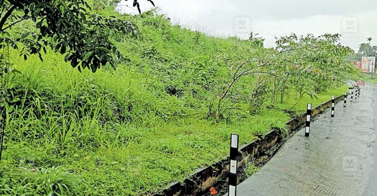 punaloor-muvattupuzha.jpg