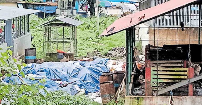 ranni-waste-disposal.jpg