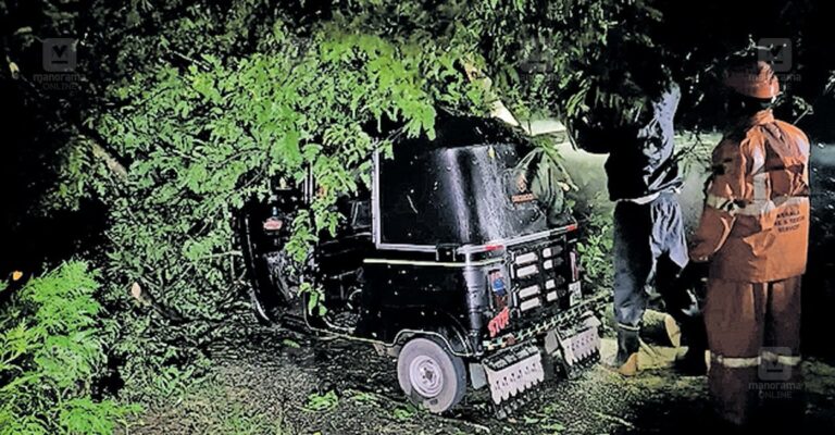 storm-damage-kerala.jpg