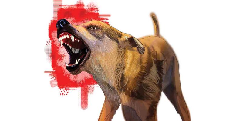 stray-dog-cartoon-new.jpg