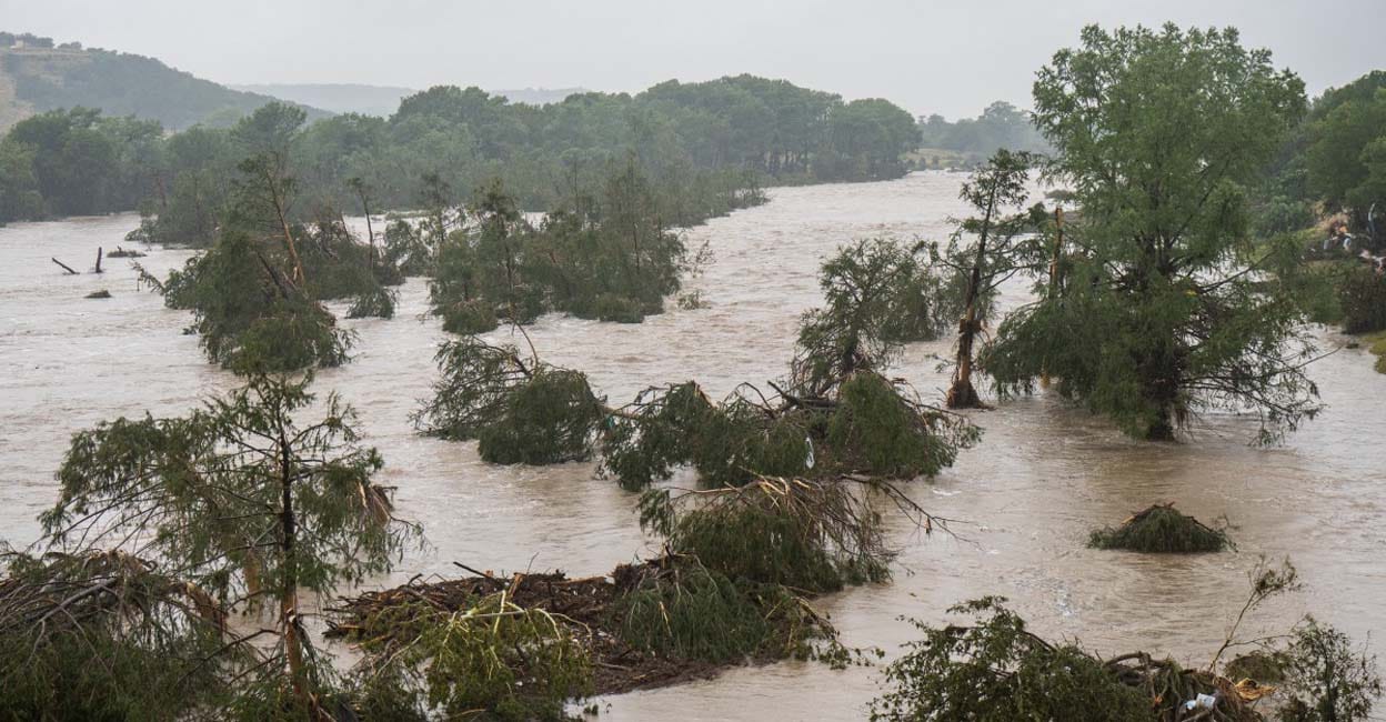 texas-flood-tress-fell.jpg