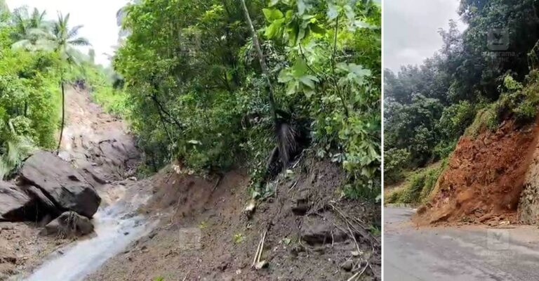 thalayad-landslide-agricultural-damage.jpg