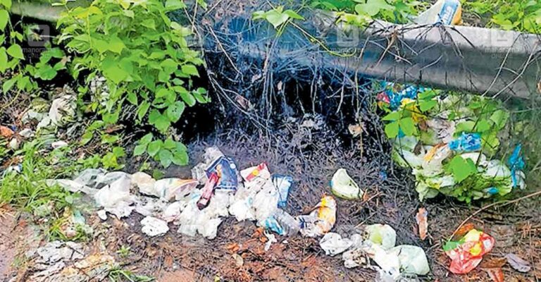 thaliparamb-waste.jpg