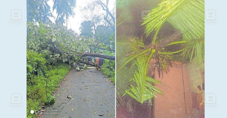 thamarasseri-heavy-rain-storm1.jpg