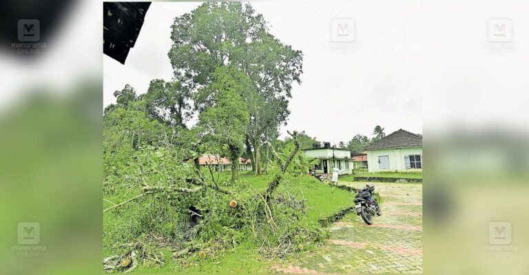 thiruvalla-school-infrastructure.jpg