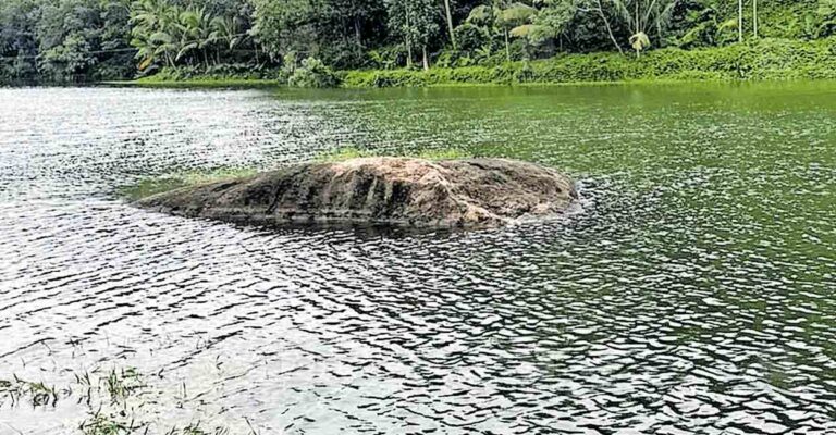 thiruvananthapuram-neyyar-water-reservoir.jpg