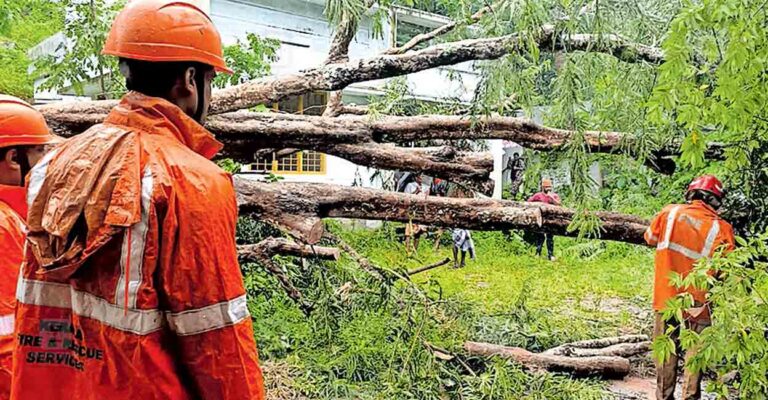 thiruvananthapuram-tree-fall-panacode-aruviyode-road.jpg