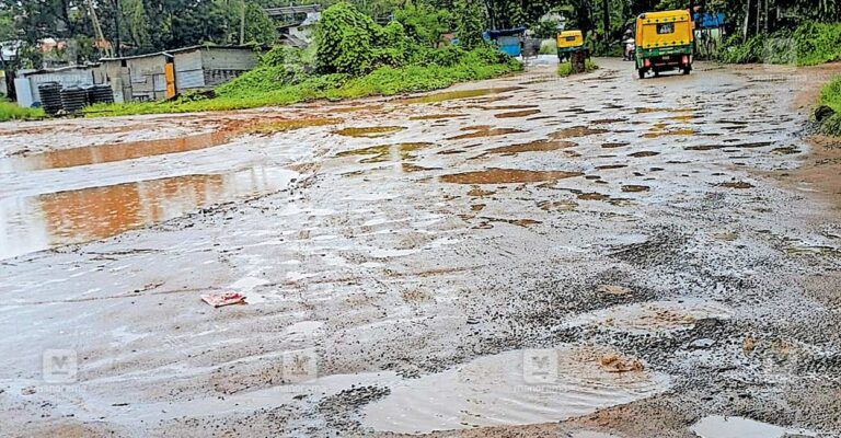 thrikarapuram-road.jpg