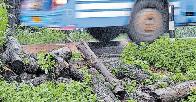 thrissur-road-side-threat.jpg