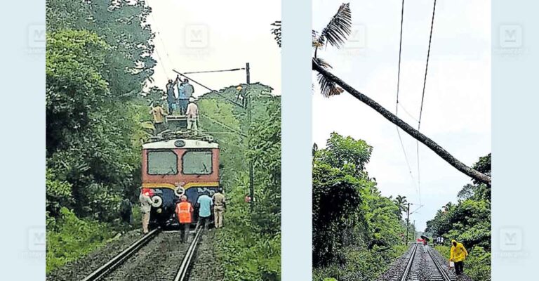 tree-fall-railway.jpg