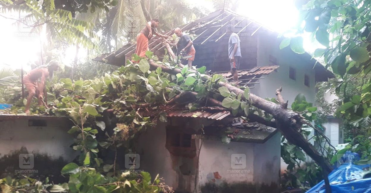 tree-falls-on-house-thalassery-1.jpg