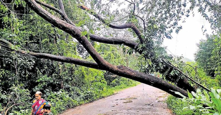vaikom-rain-damage-1.jpg
