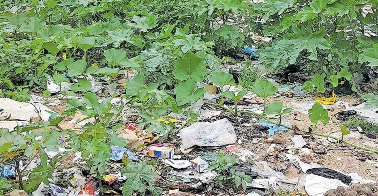 waste-kollam1.jpg