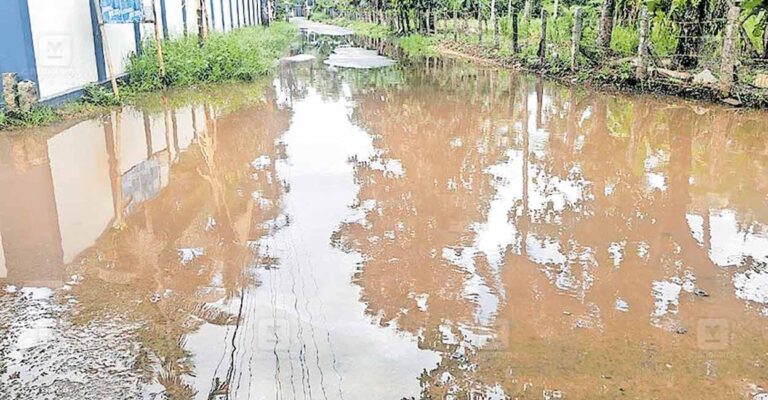 waterlogging-alp.jpg