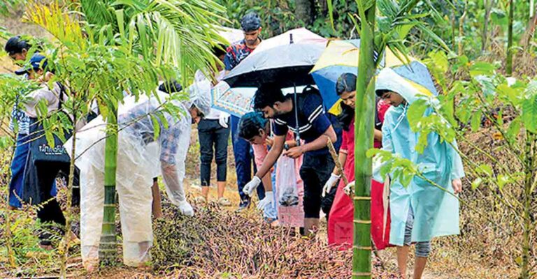 wayanad-african-snail-issue.jpg