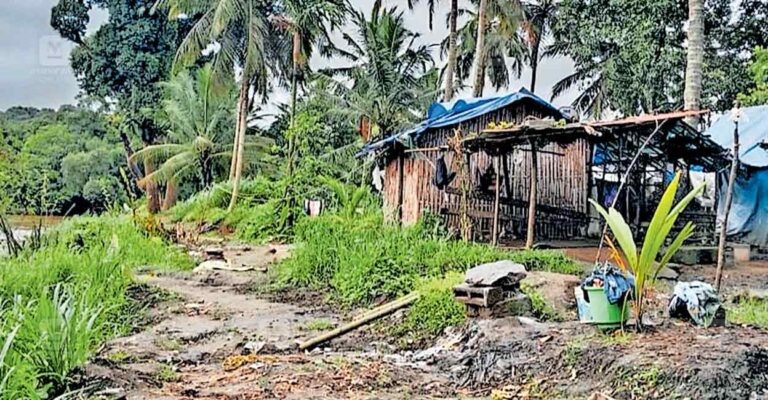 wayanad-families-flood.jpg
