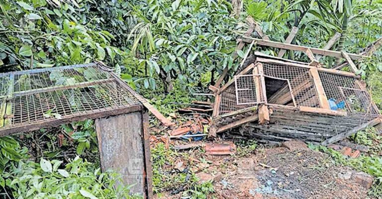 wayanad-nadavayal-wild-elephant-attack-2.jpg