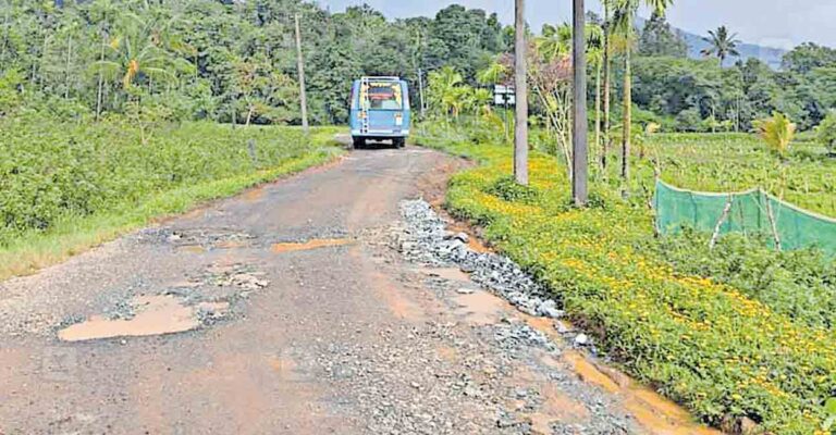 wayanad-thirunelly-road-potholes.jpg