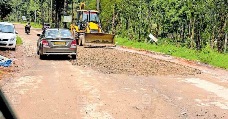 wayanad-tholpetty-road.jpg