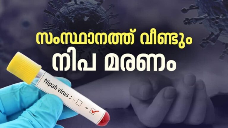 whatsapp-image-2024-07-21-at-12.47.13-pm_1280x720xt.jpeg