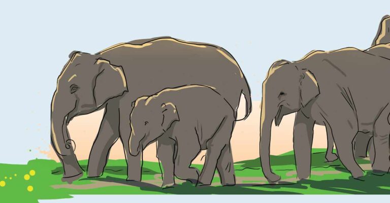 wild-elephant-threaten6.jpg