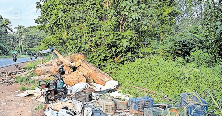 wild-pigs-kp-road-charummoodu.jpg