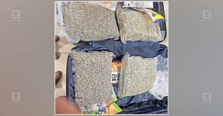 Hybrid-cannabis.jpg