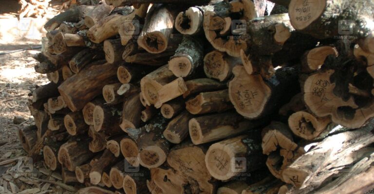 Sandal-Wood.jpg