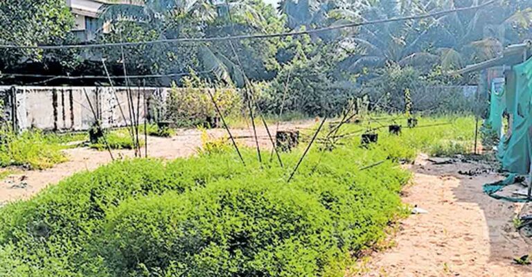 alappuzha-pattanakkad-building-issue.jpg