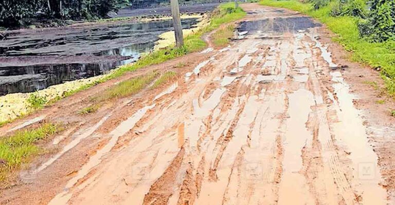 alappuzha-snkkavala-road.jpg