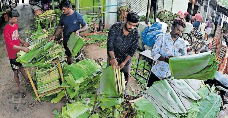 banana-leaf.jpg