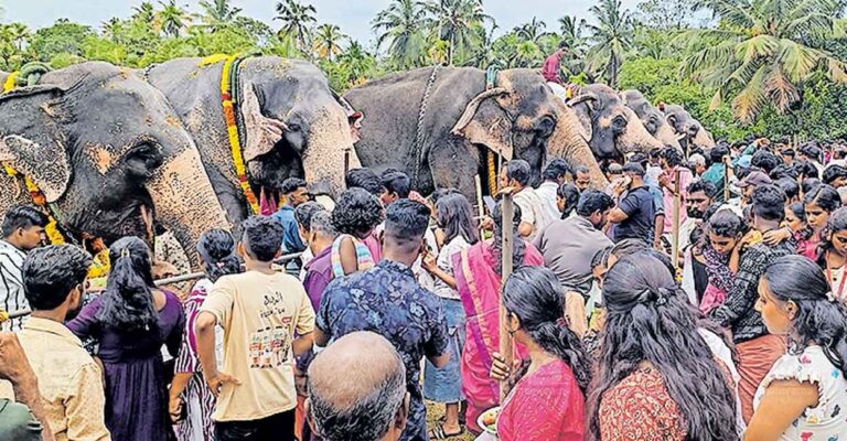chavara-aanayoottu-temple-festival.jpg
