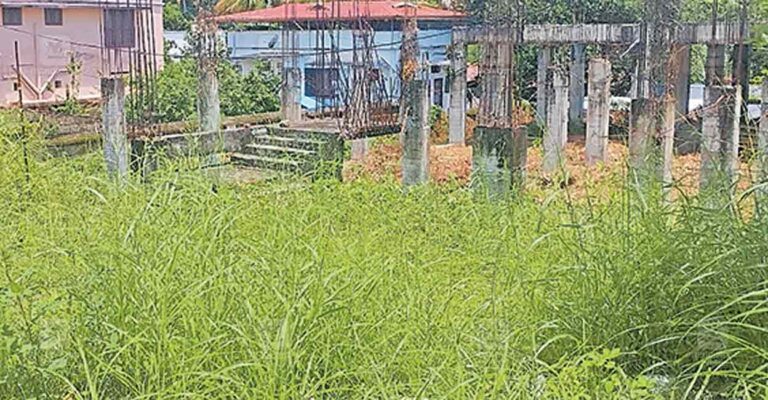 cheruniyur-vegitation.jpg
