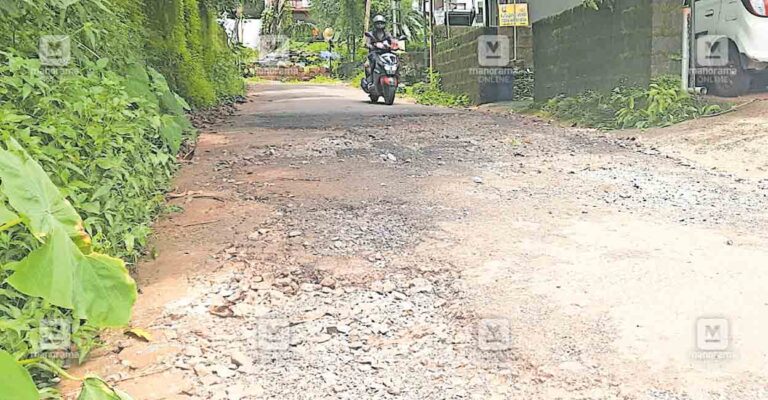 cherupuzha-ambalam-karokkad-road.jpg