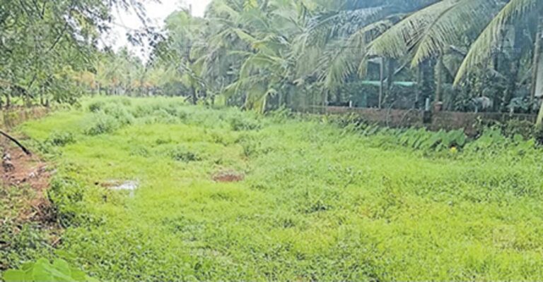 cheruvathur-sports-ground.jpg