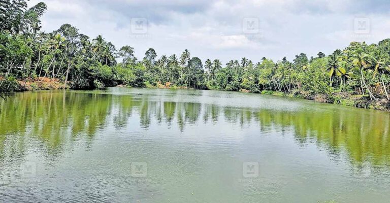 chirakulam.jpg
