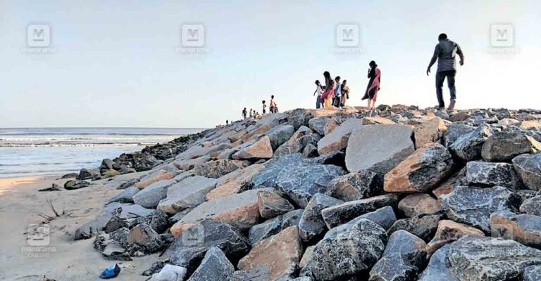 choottad-beach-puli-mutt.jpg