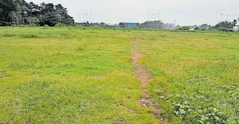 cricket-stadium-kalady.jpg