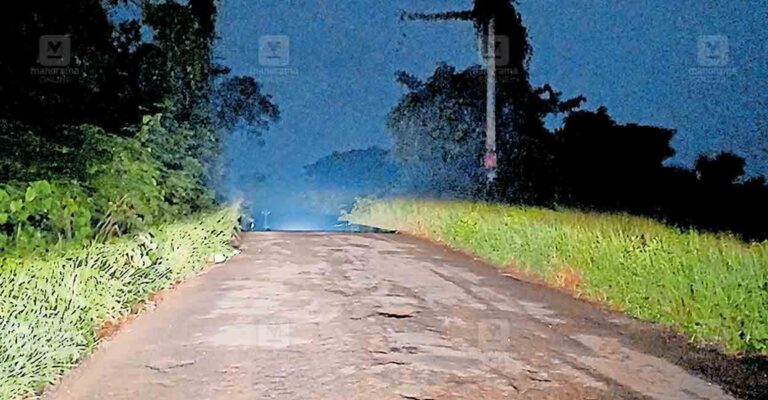 ernakulam-puthenkavu-bridge.jpg