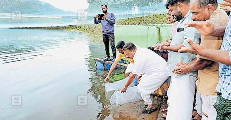 fish-farming.jpg