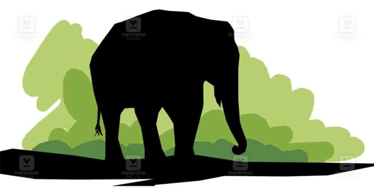 idukki-wild-elephant-sketch.jpg