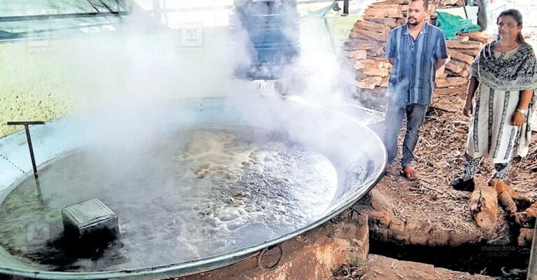 jaggery-production-.jpg