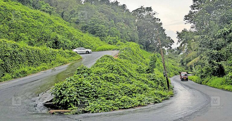 kakkadampoil-road.jpg
