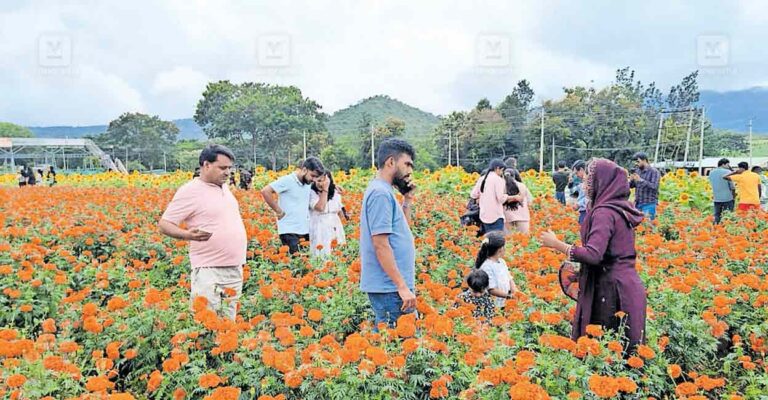 kalpetta-flower-1.jpg