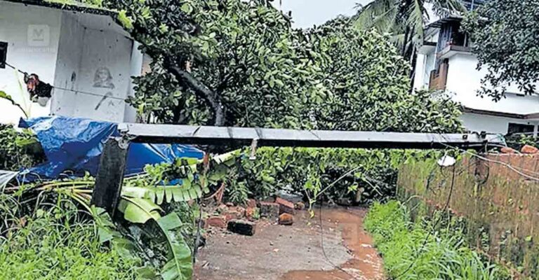 kannur-haji-road-electric-post.jpg
