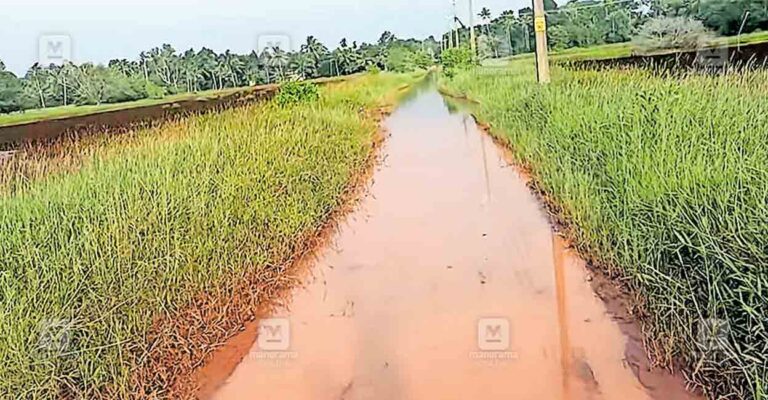 kappikkad-kallupura-vakkethara-thottakam-road.jpg